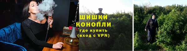 прущий лед Пересвет