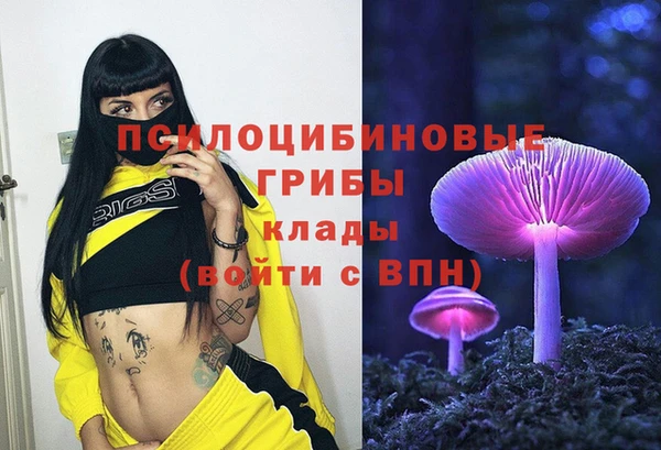 прущий лед Пересвет