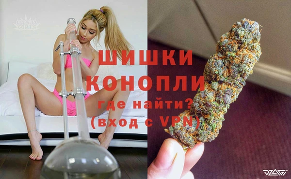 прущий лед Пересвет