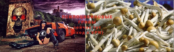 МДМА Пестово