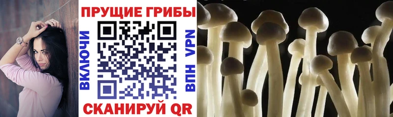 Галлюциногенные грибы Magic Shrooms  Шахунья 